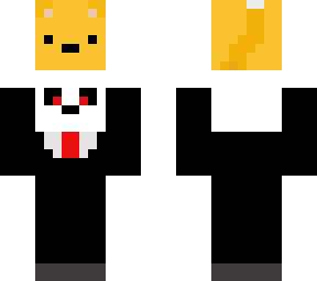gato