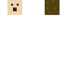 hegehog skin