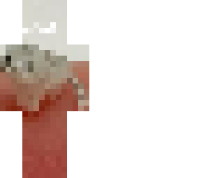 el wiwi