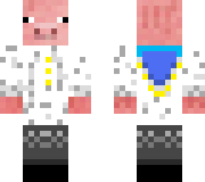no robe or crown technoblade