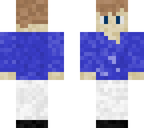 steve 2.0