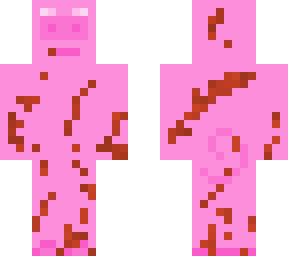mud splattered pig
