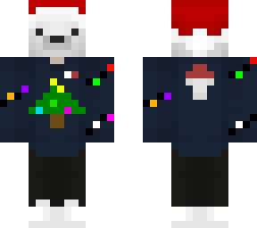 polar navideo