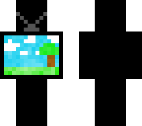 t.v screen man