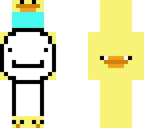 duck dream