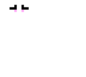 1st eye
