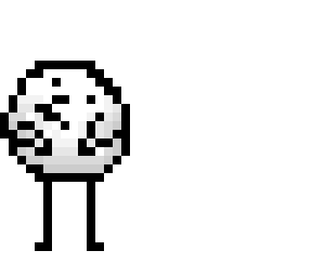 berd