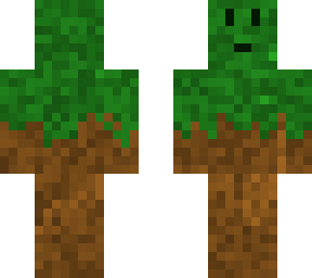 hmm a grass block?