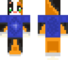 cat with blue shirt