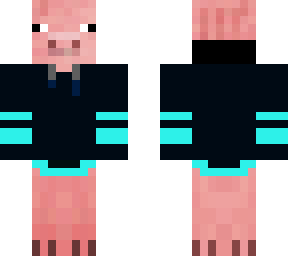 pig in a sweater