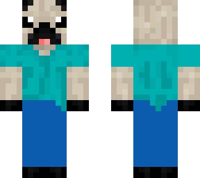 steve pug