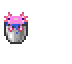 axolot in bucket