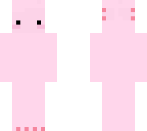 axolotle 2