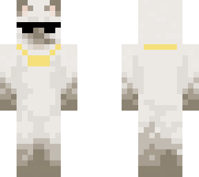 siamese cat