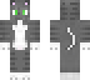 a cat