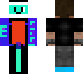 the dual skin