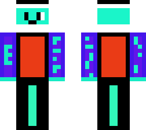 the dual skin