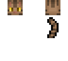 tommy head and tail