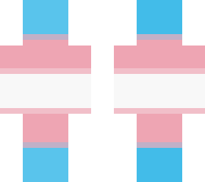 trans flag skin