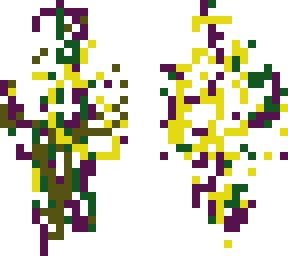 a skin 2