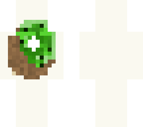 kiwi skin