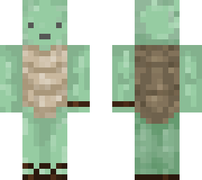 beach turtle