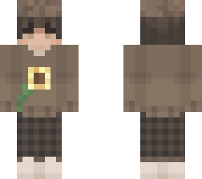 dark acadamia/cozy/sunflower