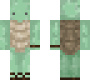 different eyes turtle