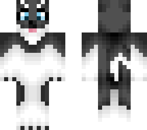 lila the husky
