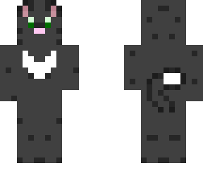 my cat oc