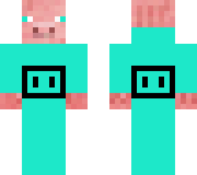 aqua pigskin