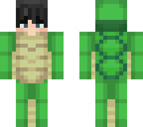 better hair turtle guy
