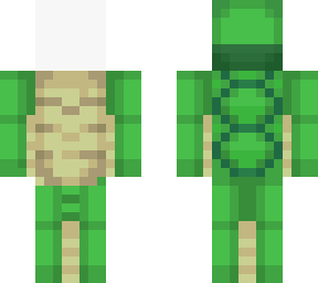 invisible turtle boy