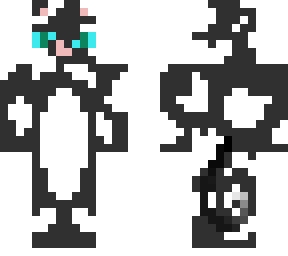 black & white cat