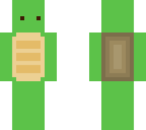 turtle