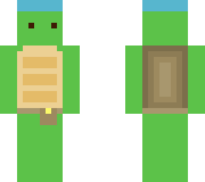 turtle pirate