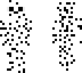 dalmata 2