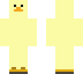 duck with shoes