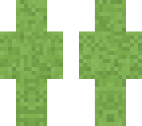 simulation steve