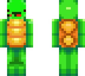 skeppy turtle