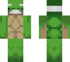 the old turtle