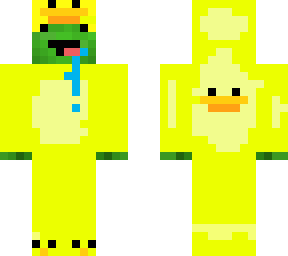 turtle in duck suit