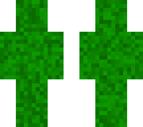 bush green thingy