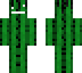 cactus guy