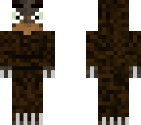 owl cat