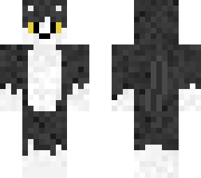 gato