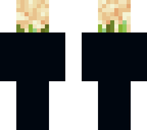 sobinsin