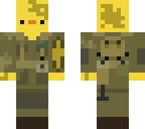army duck with fixed injuries and now has battle scars