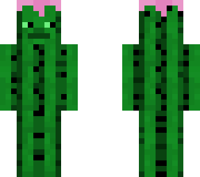 cactus man