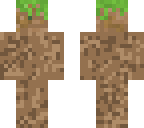 grass-block skin
